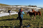 81 Cavalli al pascolo alla Baita Alta